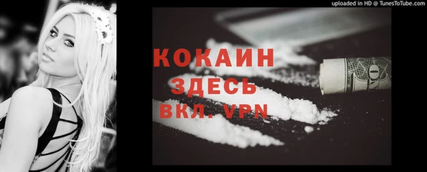 СК Бронницы