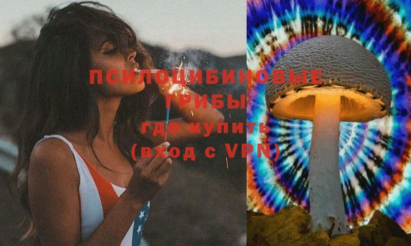индика Пролетарск