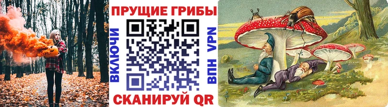Псилоцибиновые грибы мухоморы Сусуман